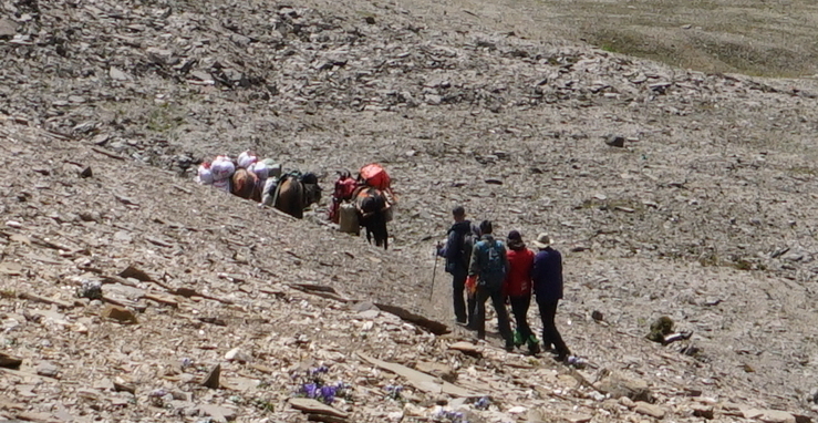 微信图片_20180912090627