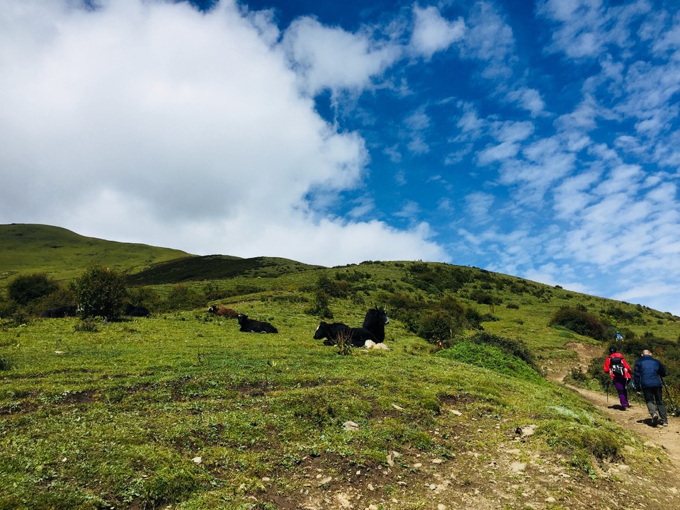 IMG_4325(20180909-190055)