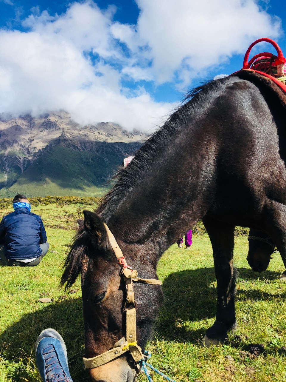 IMG_4338(20180909-005932)