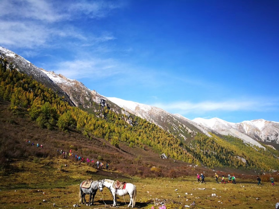 微信图片_20181016105158