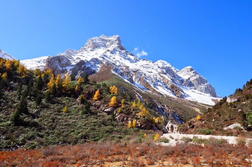 微信图片_20181020153553