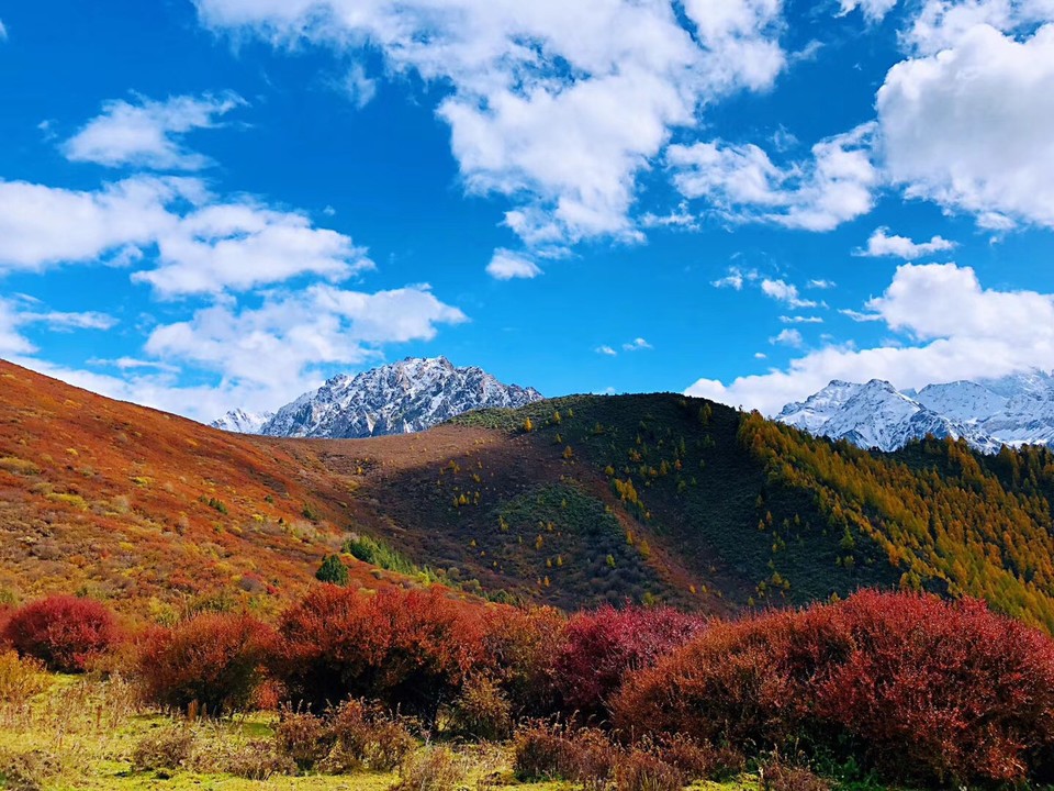 微信图片_20181023094911