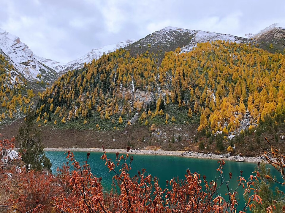 微信图片_20181023094936