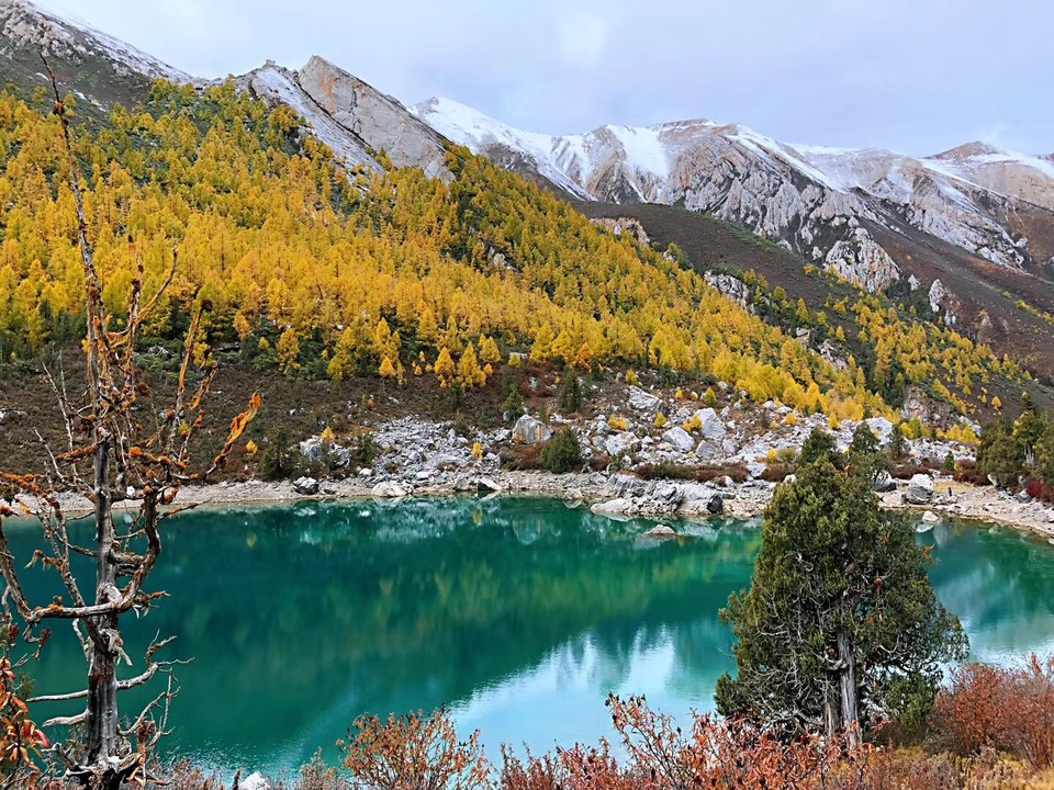 微信图片_20181023094939