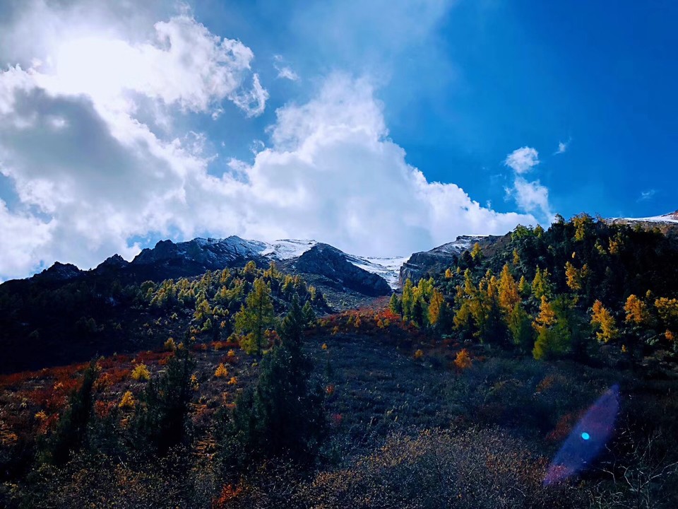 微信图片_20181023094947