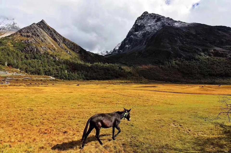 微信图片_20181009153549