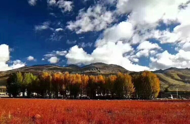 微信图片_20181009153558