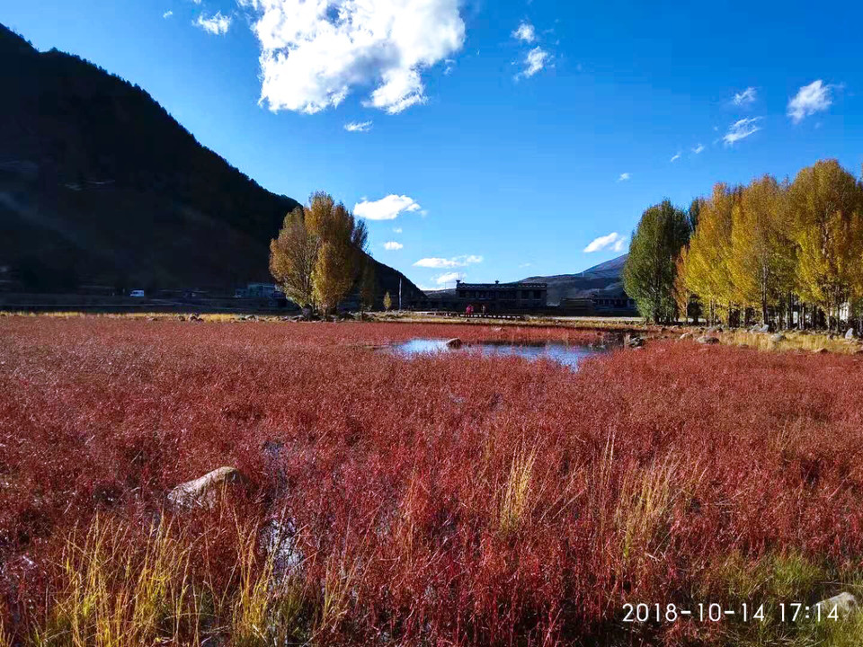 微信图片_20181015180134