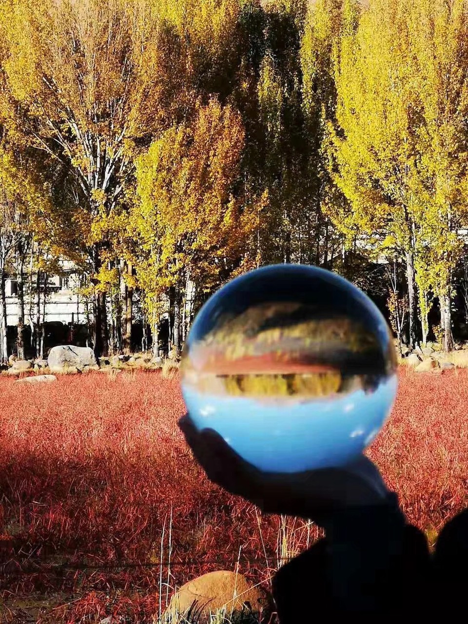 微信图片_20181018170715