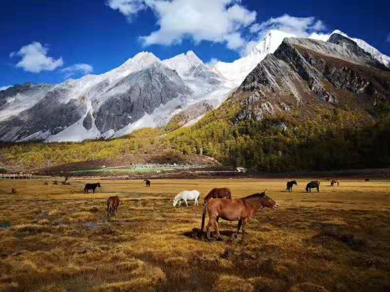 微信图片_20181026174352