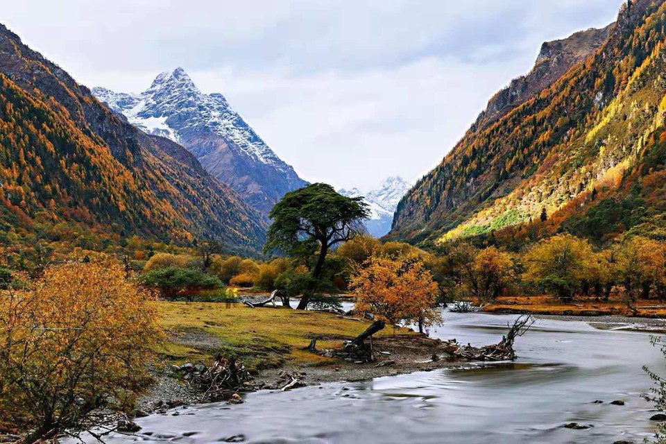 微信图片_20181026174452