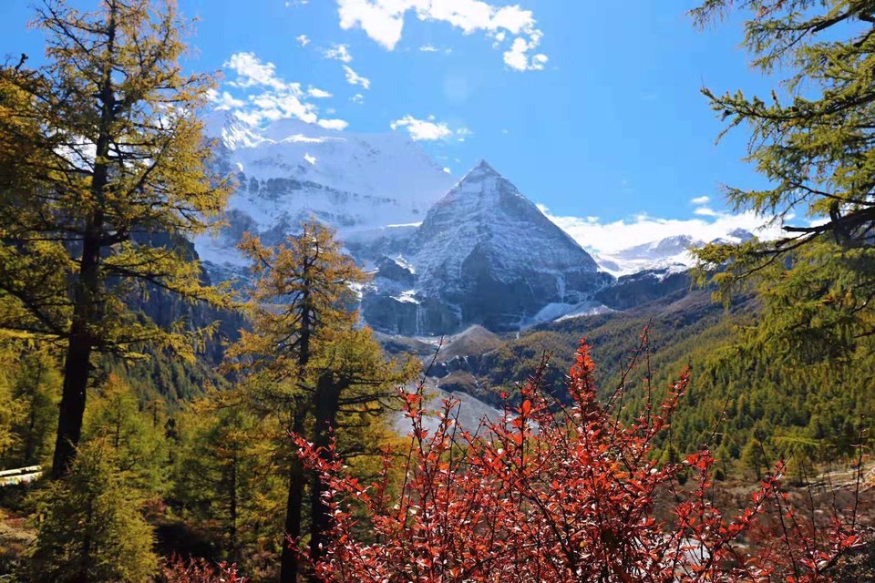 微信图片_20181026174524