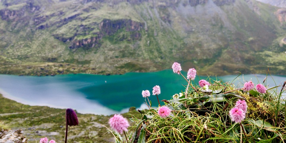 微信图片_20180808094559