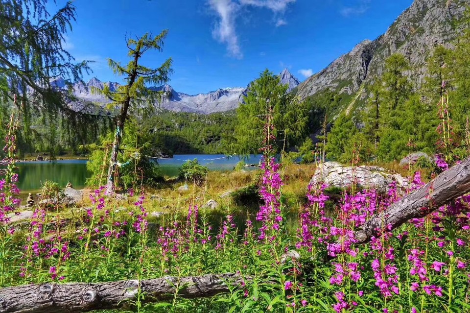 微信图片_20180906162723