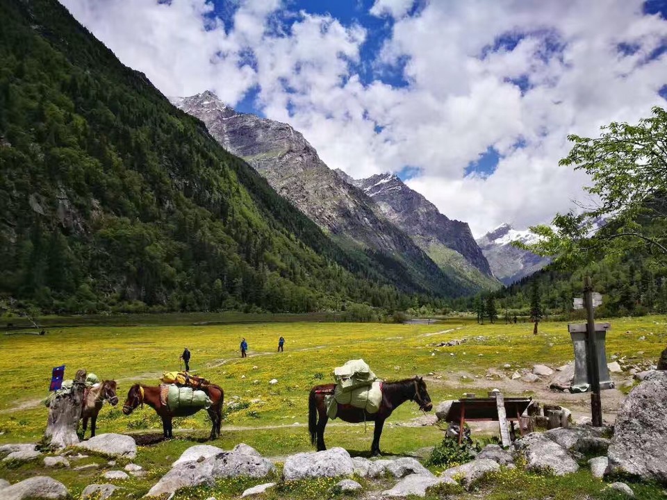 微信图片_20180816111044