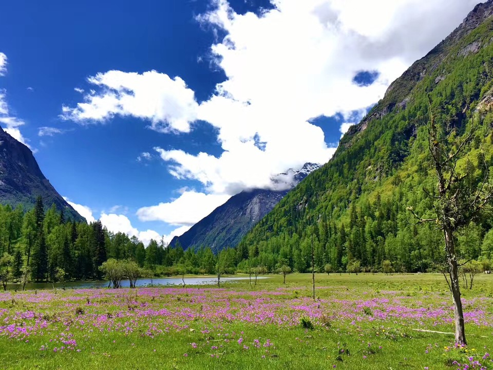 微信图片_20180816111055