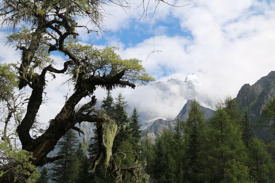 微信图片_20180821164638