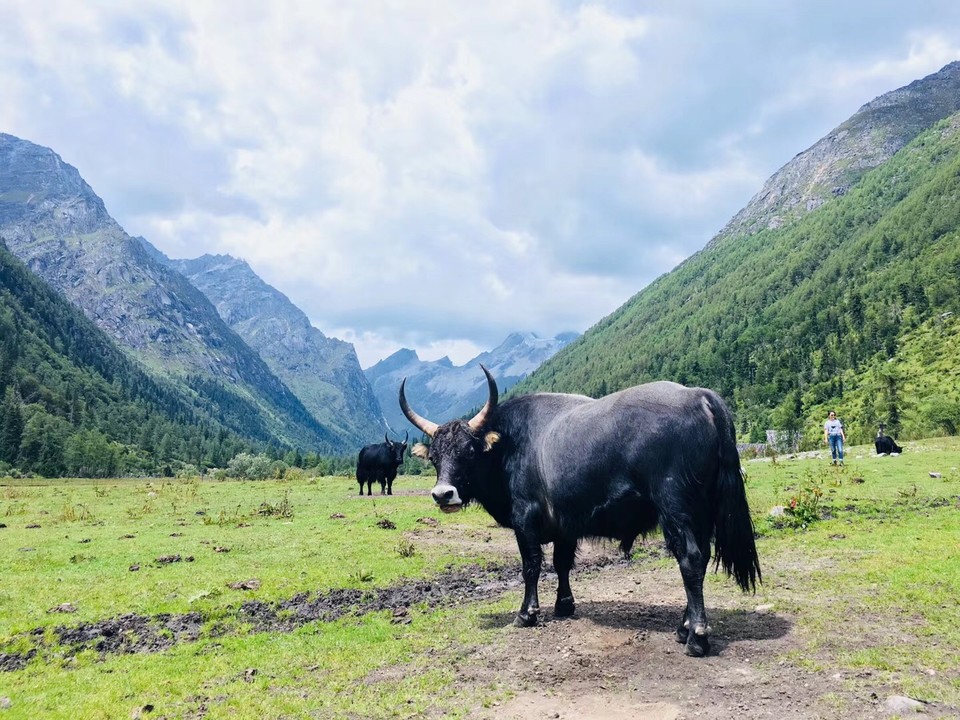 微信图片_20180821165041