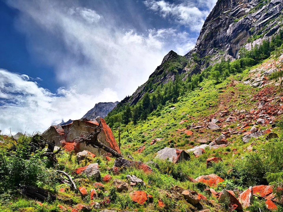 微信图片_20180822132442