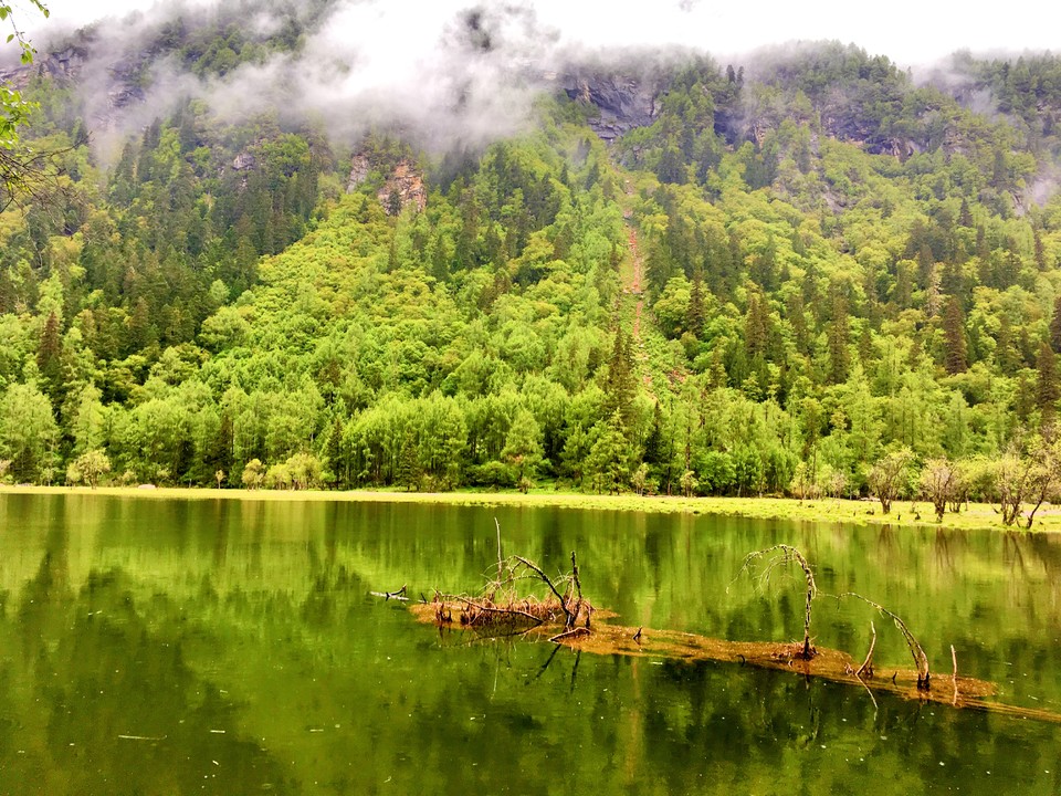 微信图片_20180822132606