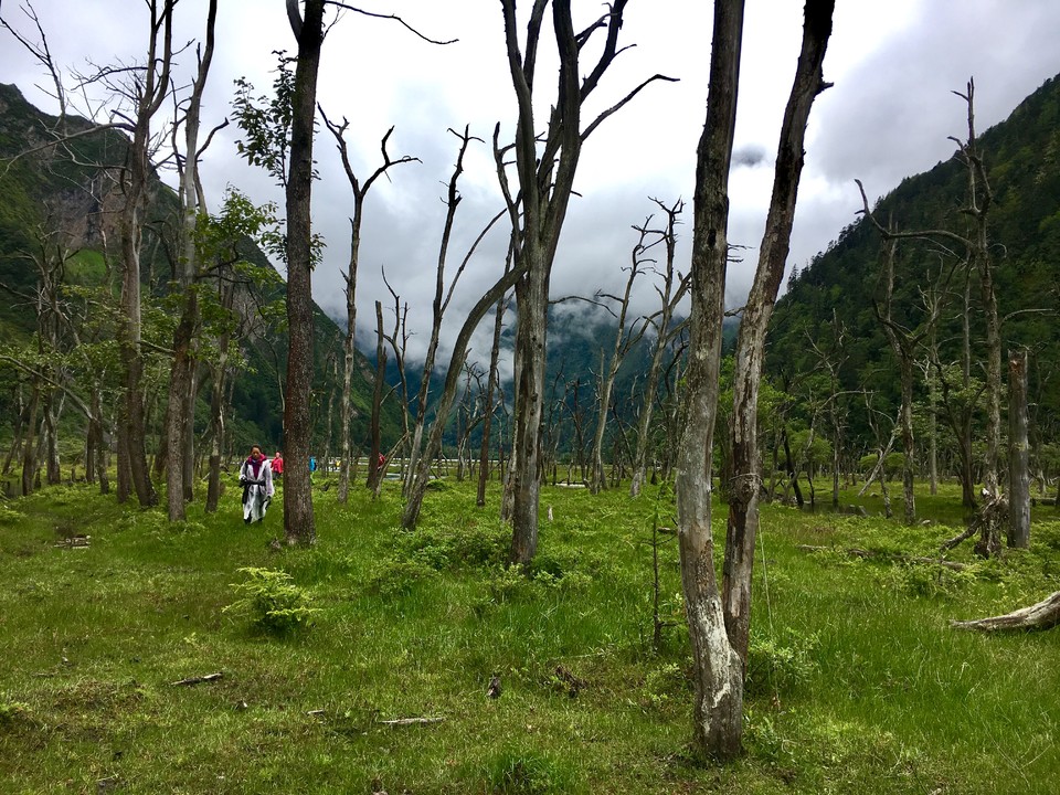 微信图片_20180803174017