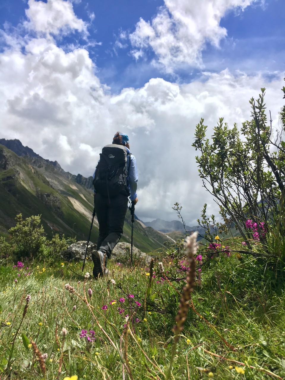 微信图片_20180803174122