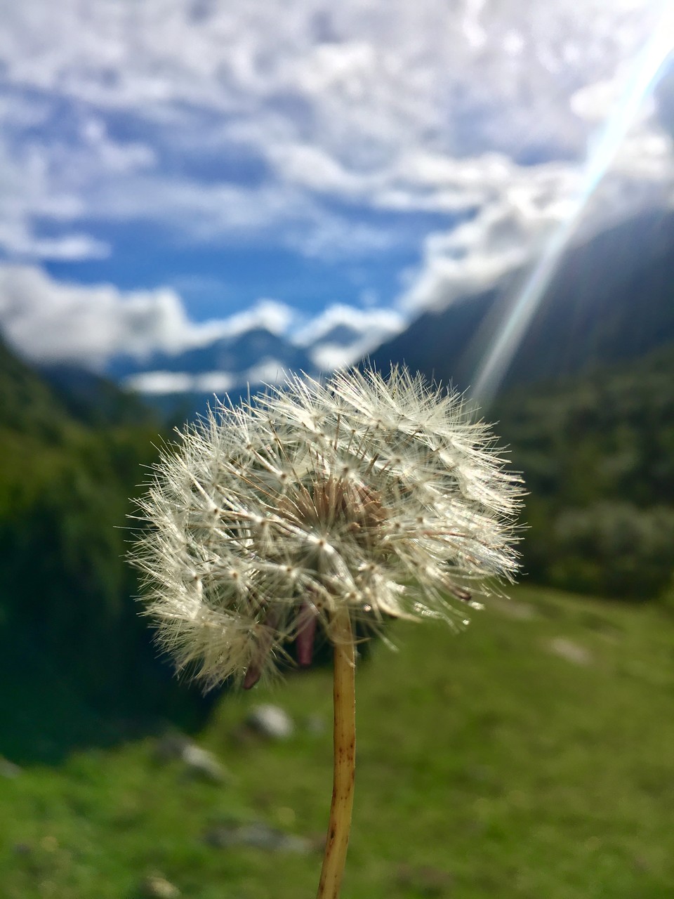 微信图片_20180803174256