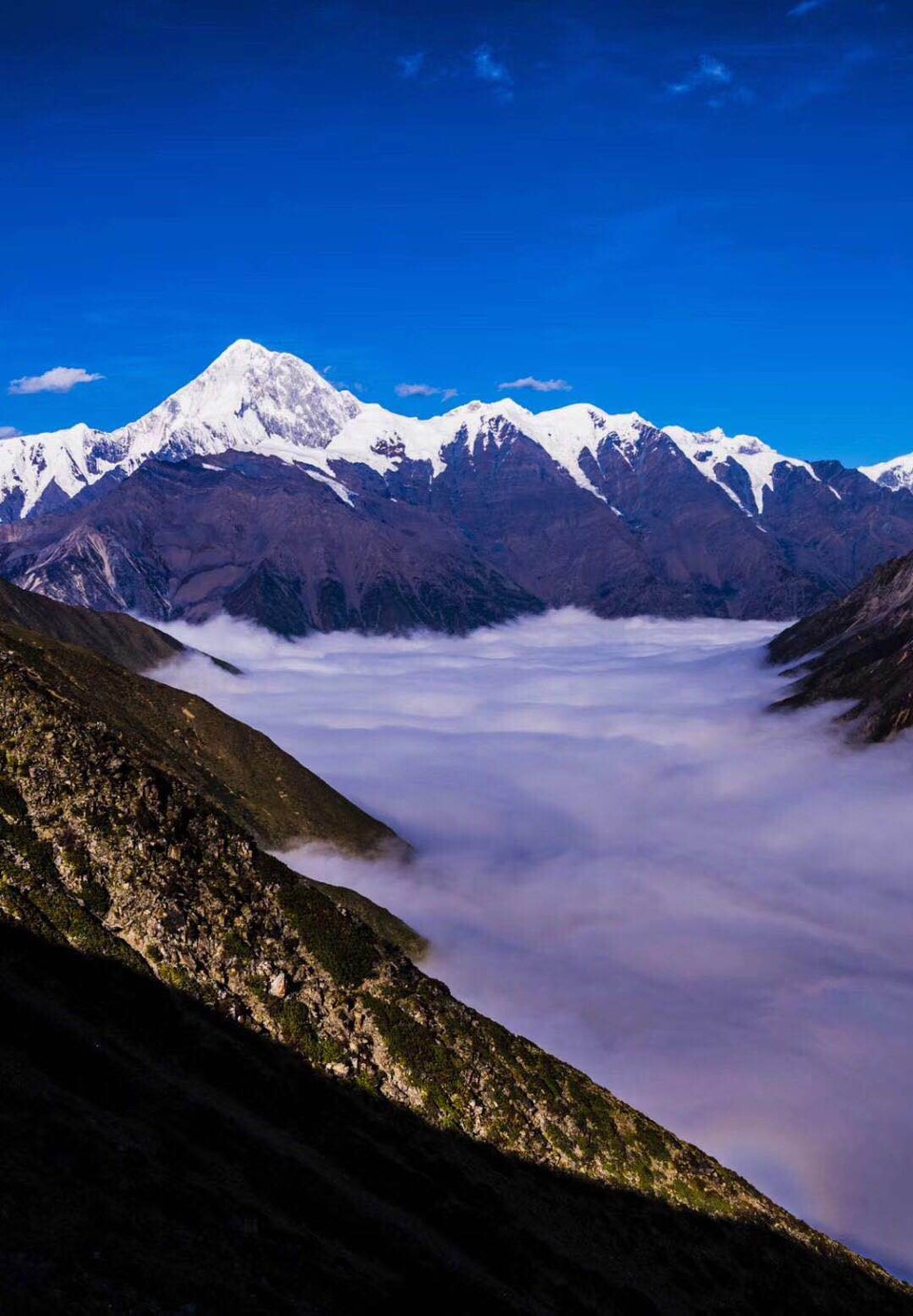 微信图片_20180806092940