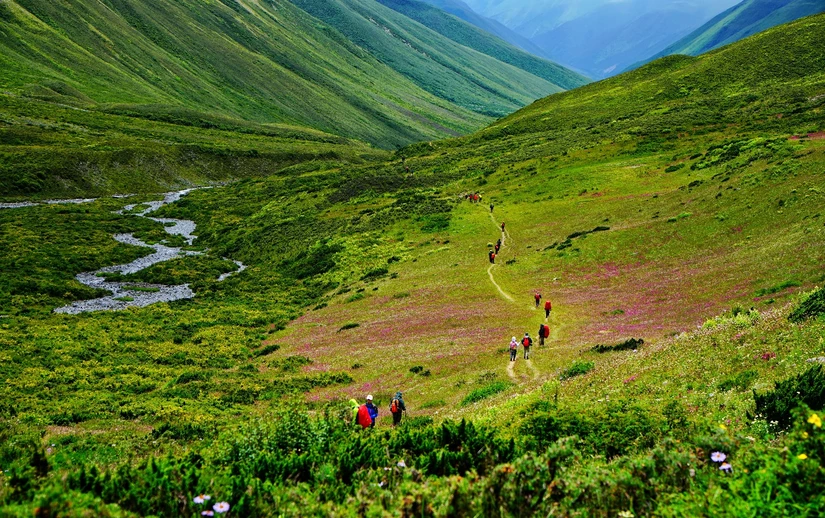 微信图片_20180815113728