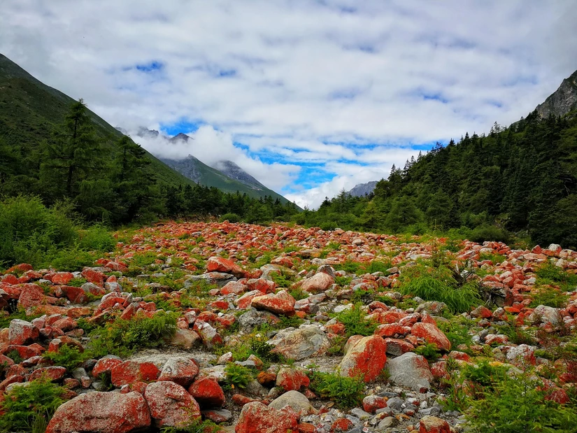 微信图片_20180815113804