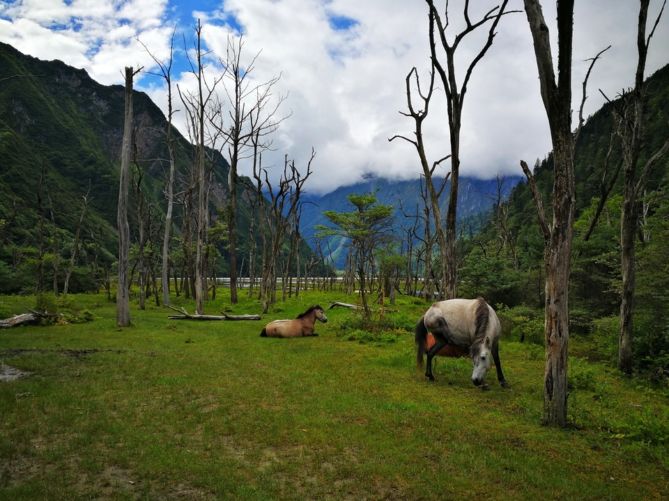 微信图片_20180821113611