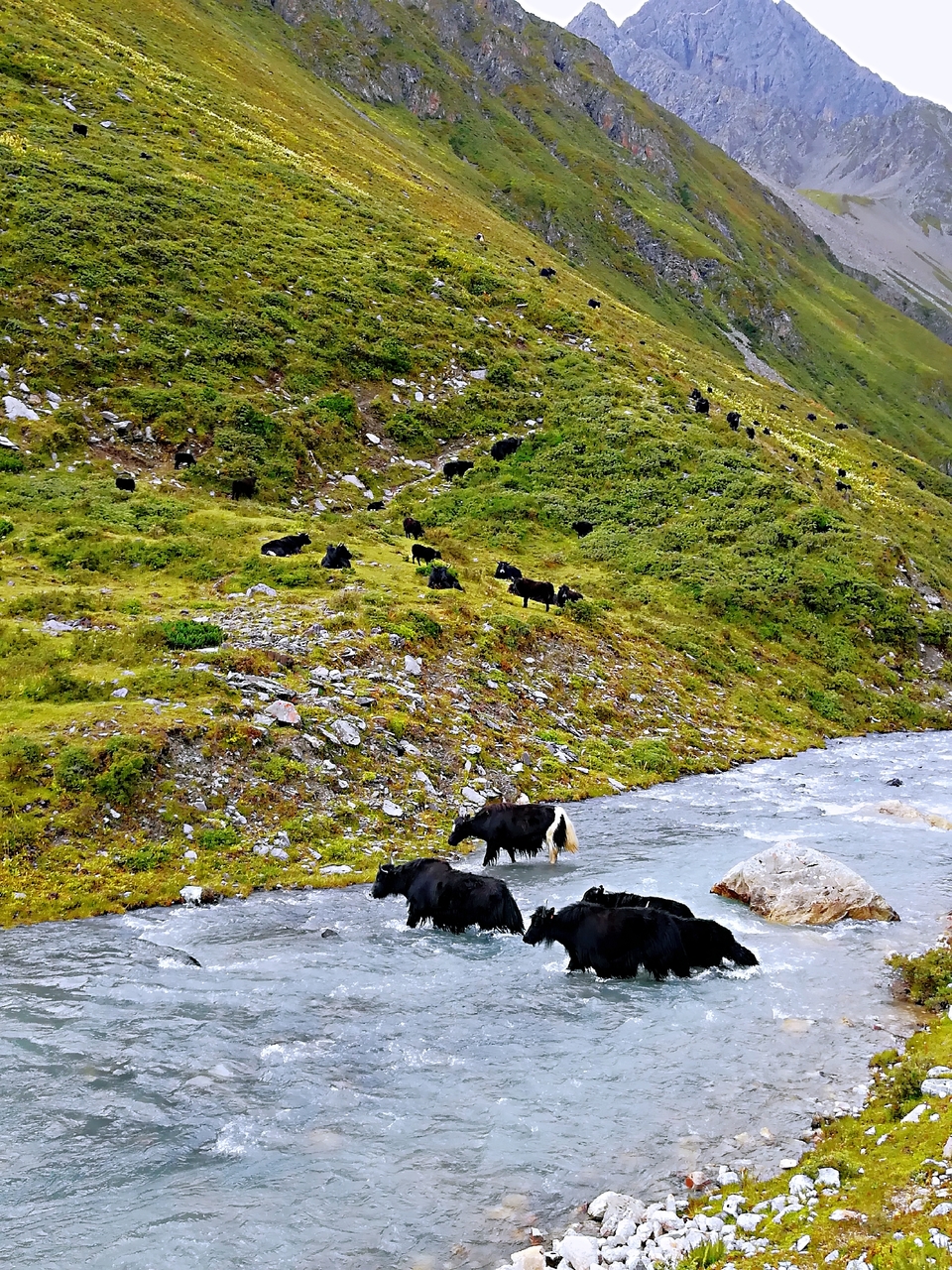 微信图片_20180825162746