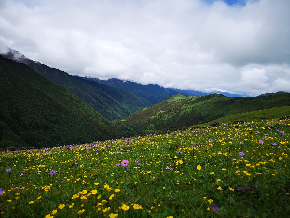 微信图片_20180703164845