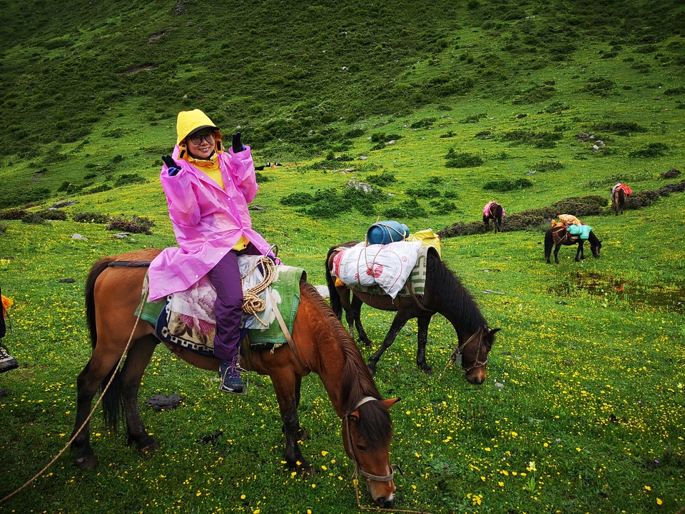 微信图片_20180703164925