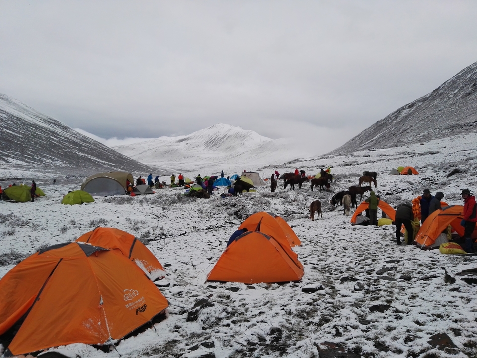 微信图片_20180518094822