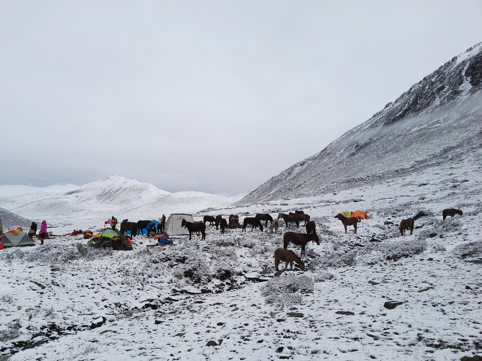 微信图片_20180518094828