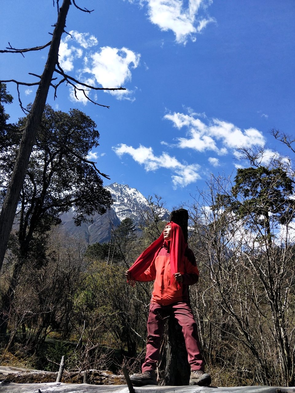 微信图片_20180518094842