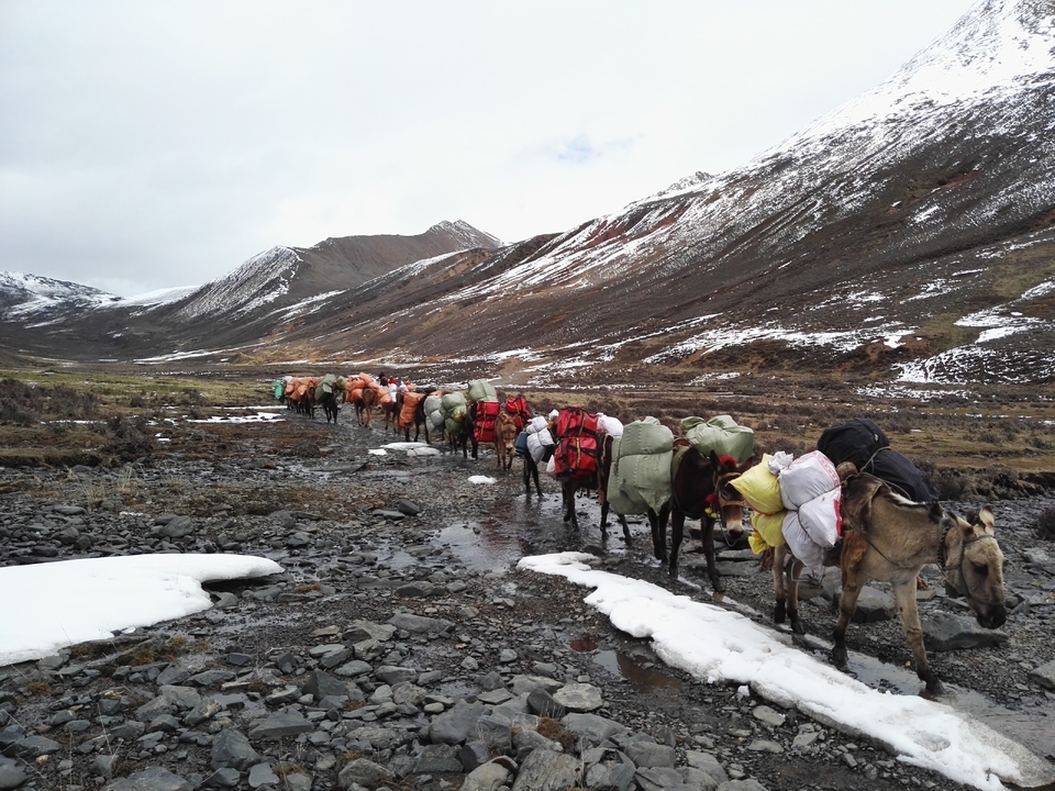 微信图片_20180518094941