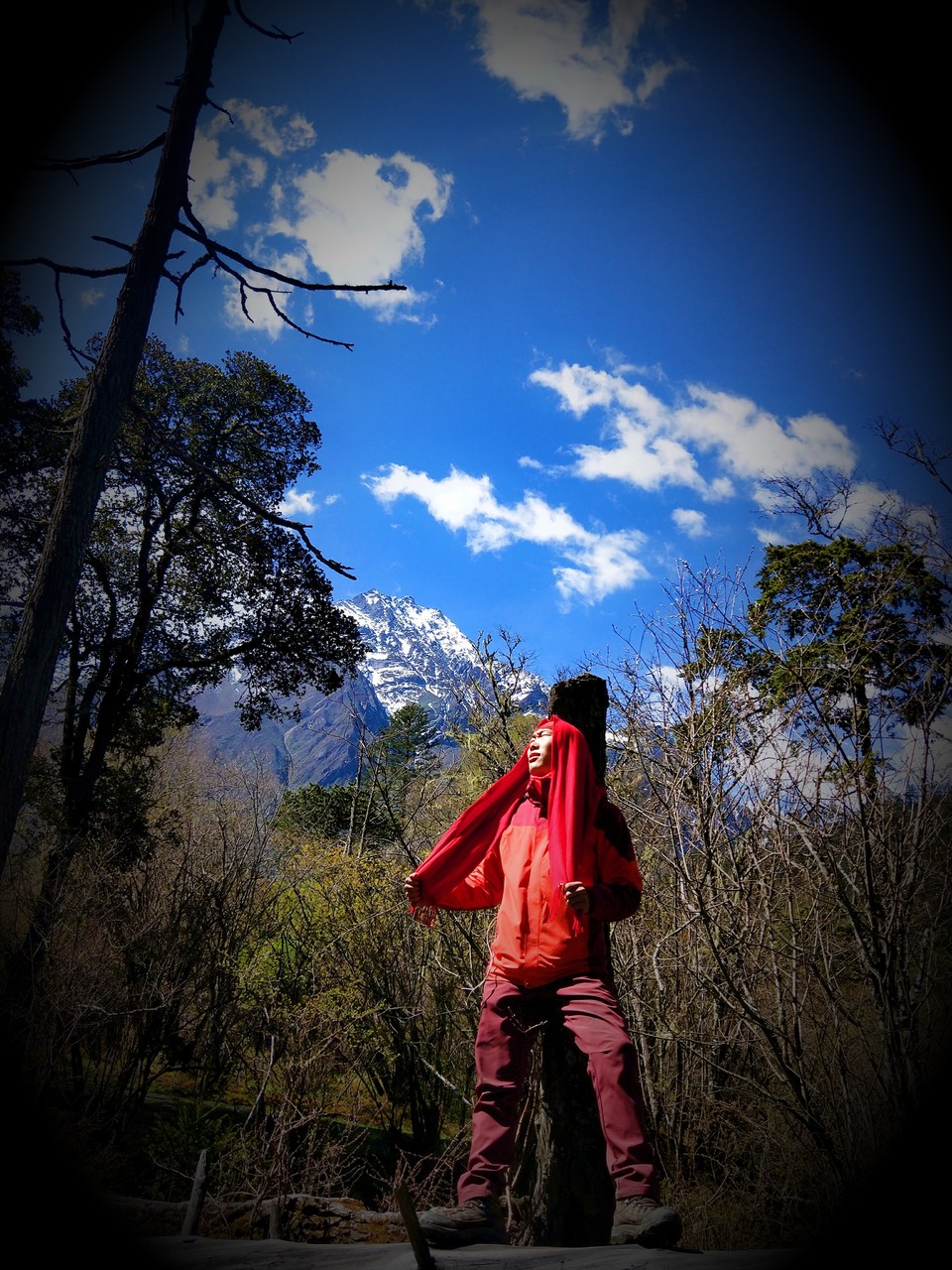 微信图片_20180518095023