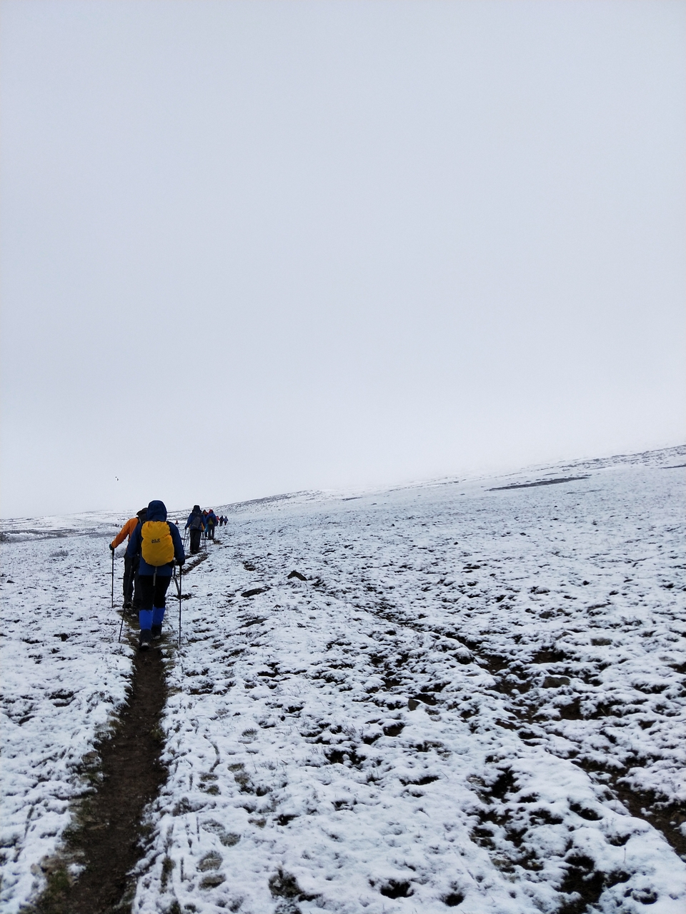 微信图片_20180518095130