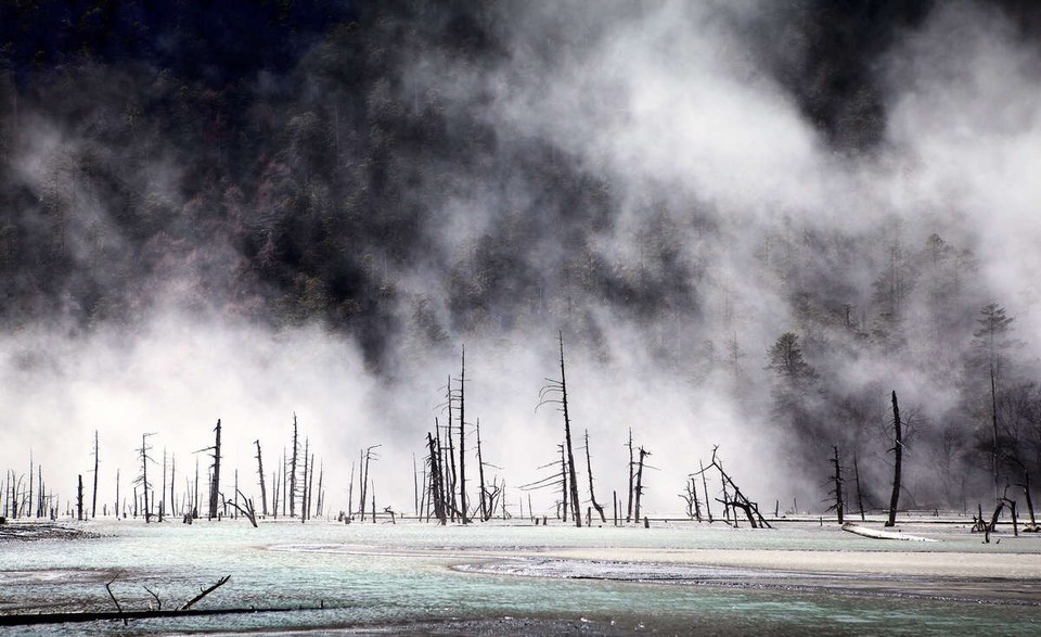 微信图片_20180518095301