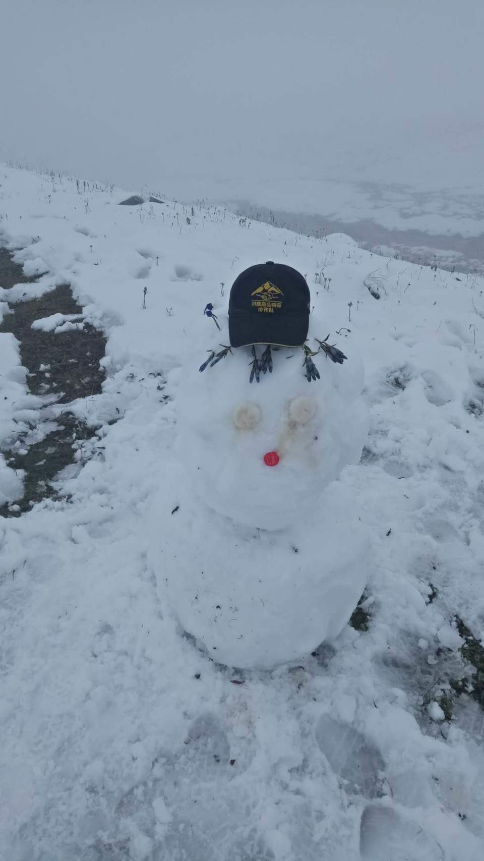 微信图片_201809180908176