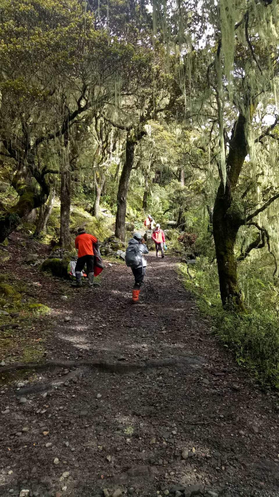 微信图片_201809180913473