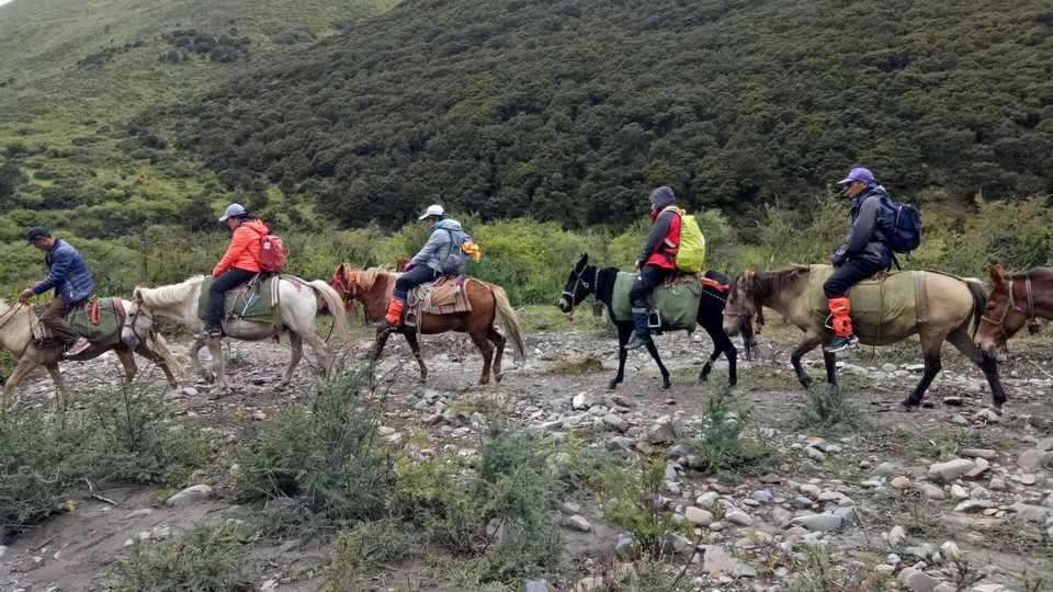 微信图片_201809180913474