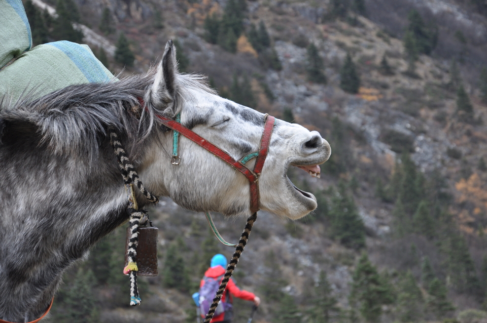 微信图片_20181106163950