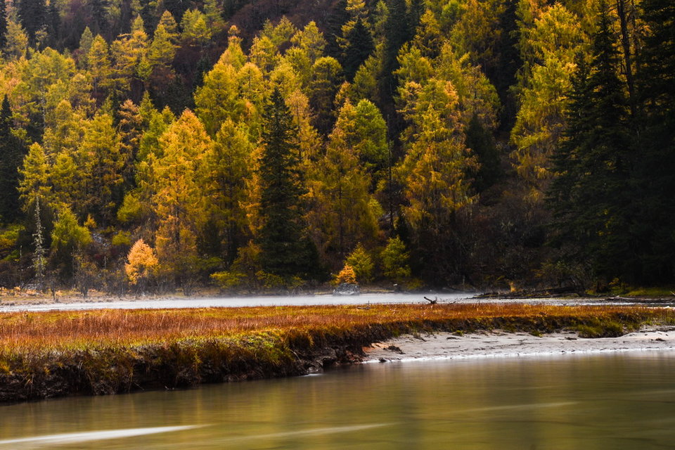 微信图片_20181115112644