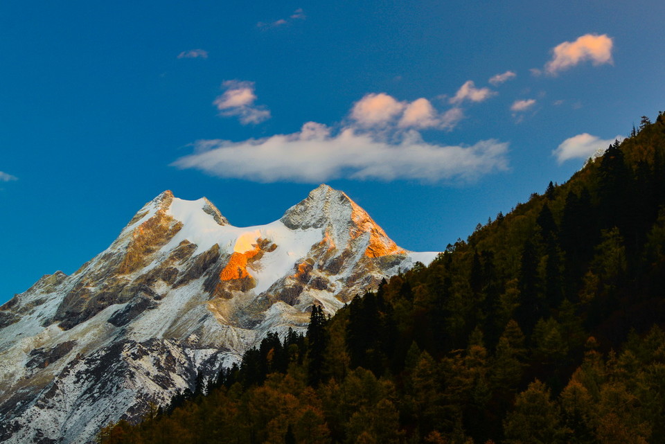 微信图片_20181115112715