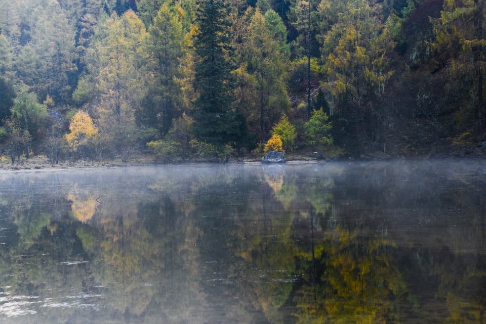 微信图片_20181115112656