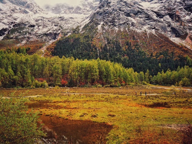 微信图片_20181112152511