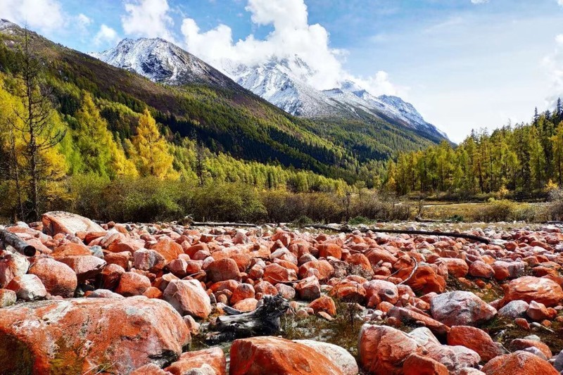 微信图片_20181112152518